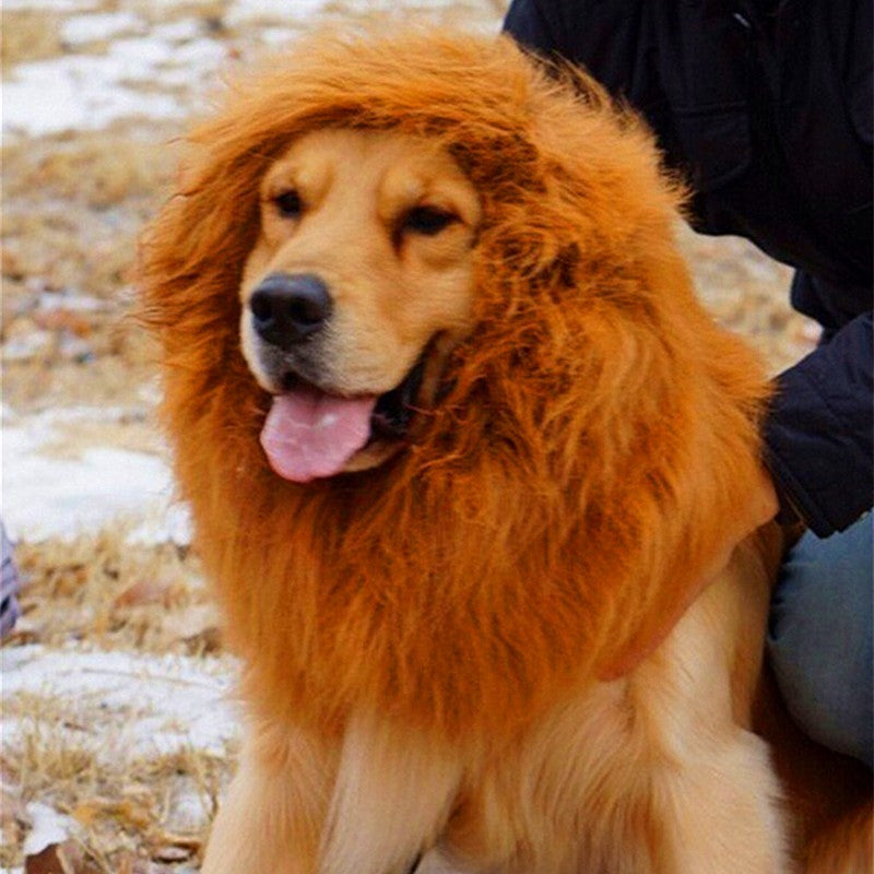 Lion Mane Costume for Dogs