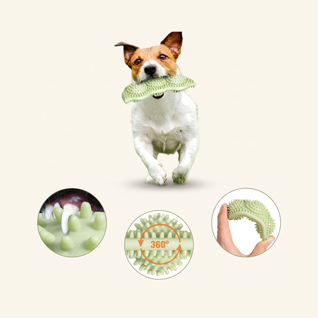 Bite-Resistant Chew Ball for Dogs