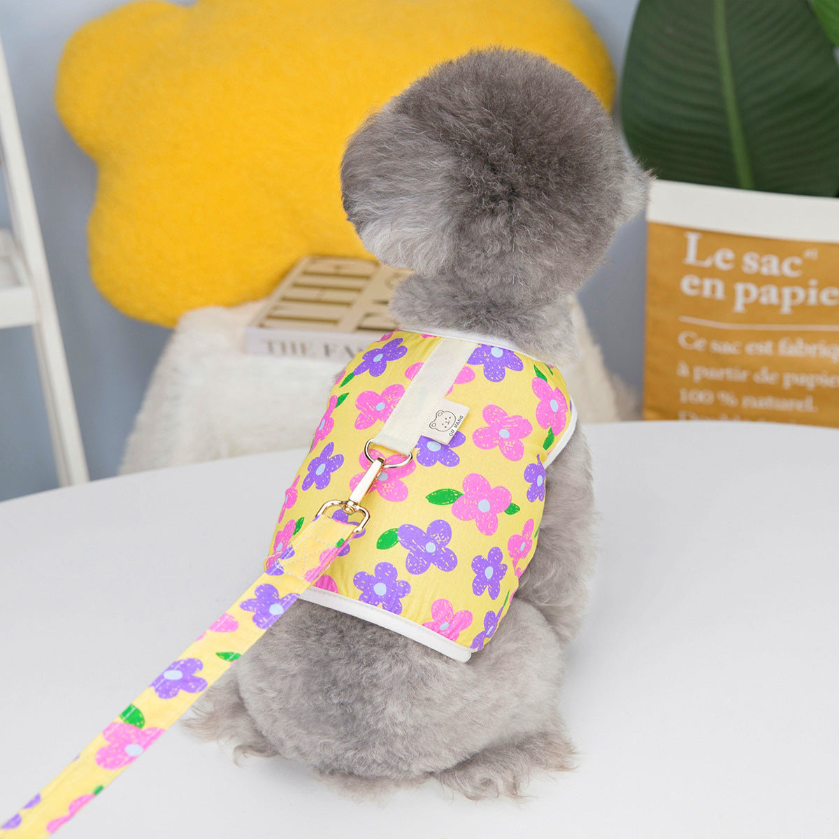 Floral Harness Vest with Matching Leash