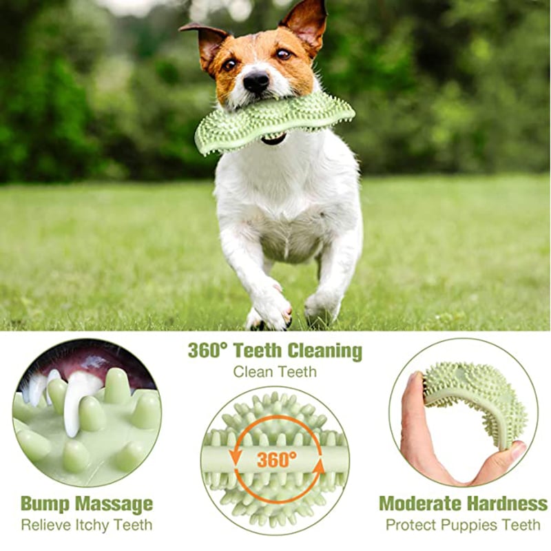 Bite-Resistant Chew Ball for Dogs