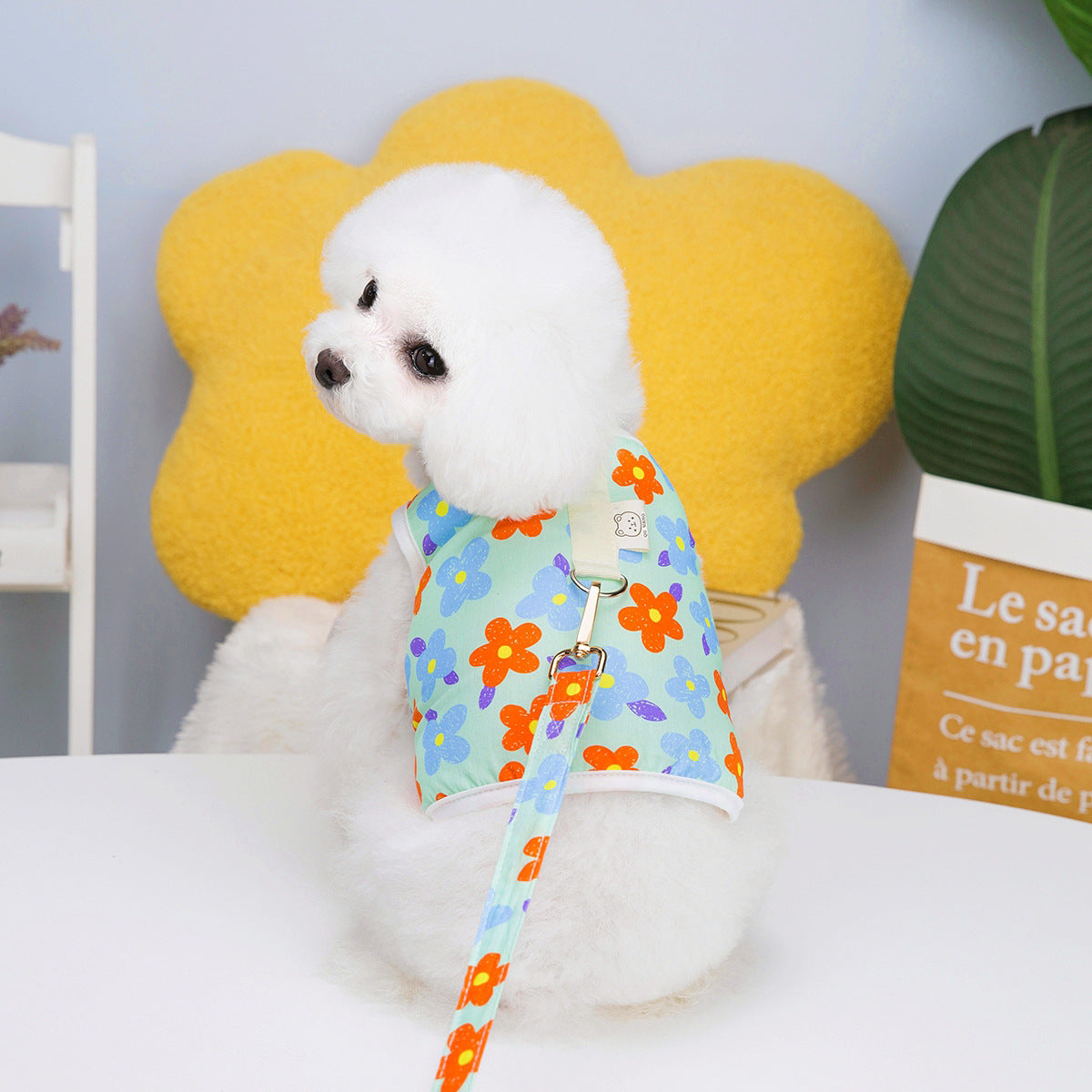 Floral Harness Vest with Matching Leash