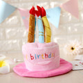 Birthday Cake Party Hat for Pets