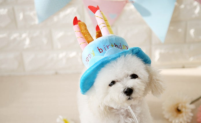 Birthday Cake Party Hat for Pets