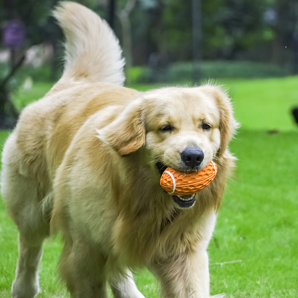 Squeaky Rubber Rugby Ball Dog Toy