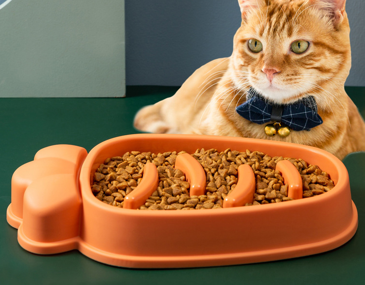 Slow Feeder Bowl for Dogs & Cats