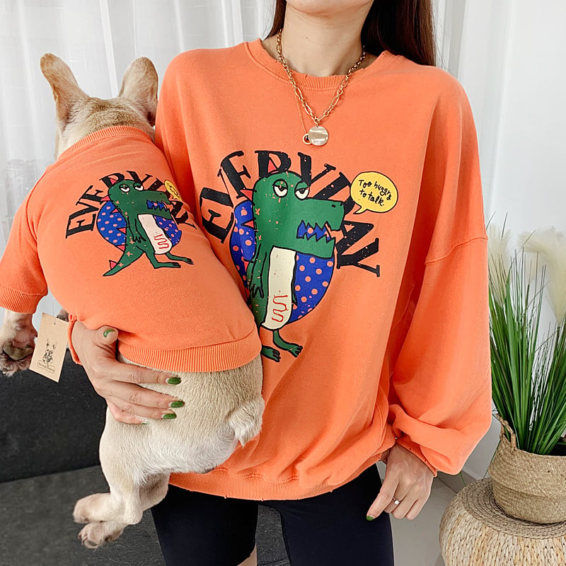 Matching Dinosaur Sweater for Dog & Owner