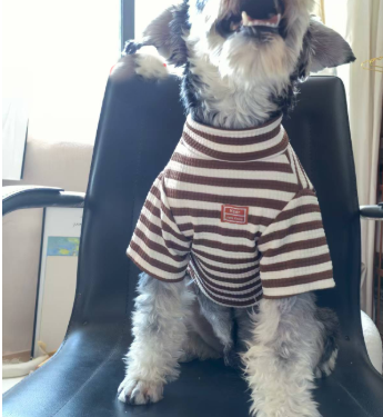 Lightweight Summer Shirt for Small Dogs
