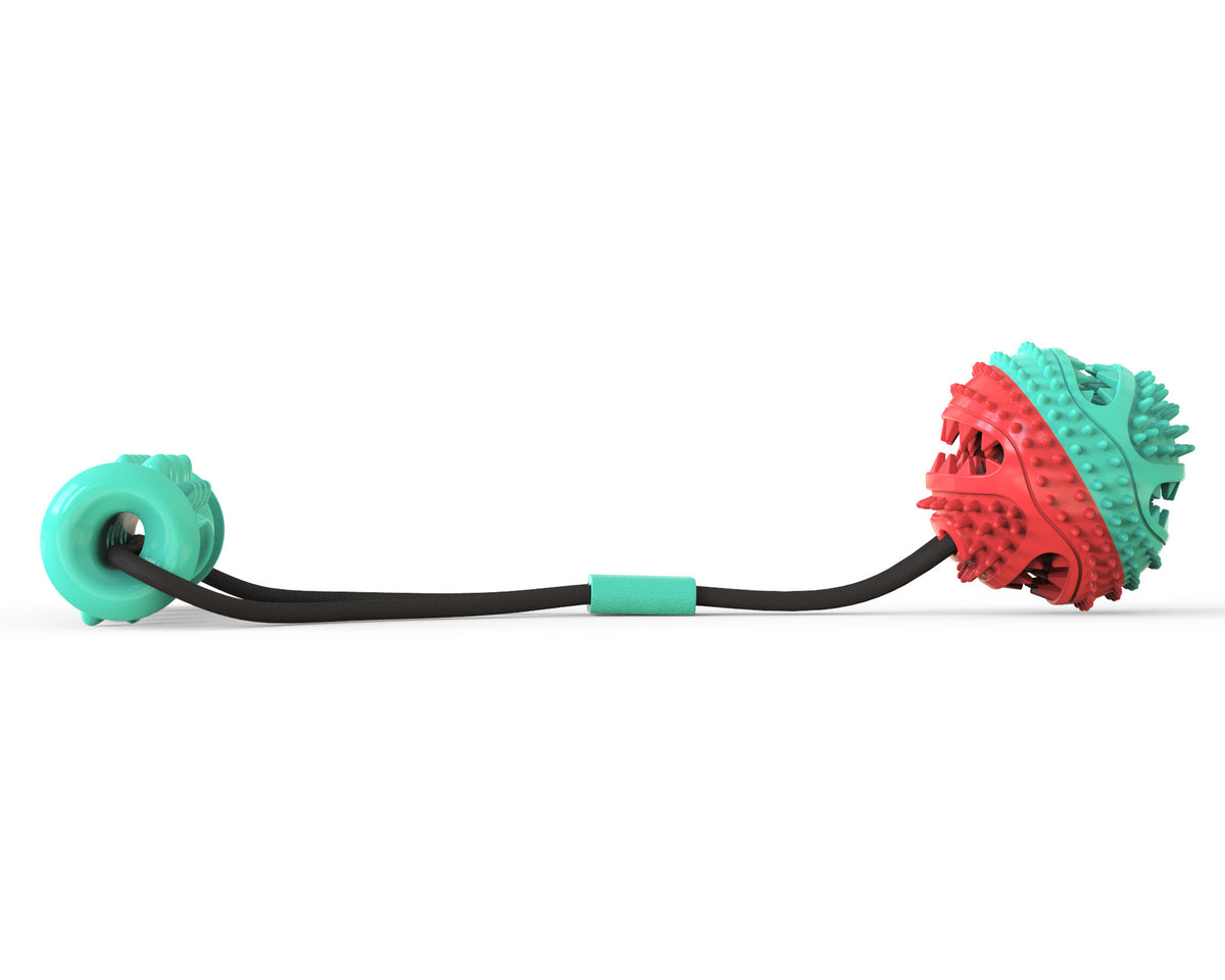 Tug Rope Ball Toy for Dogs
