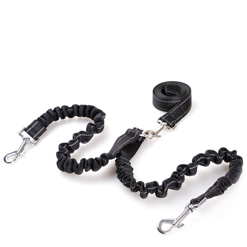 Double Dog Leash for Walking Two Dogs