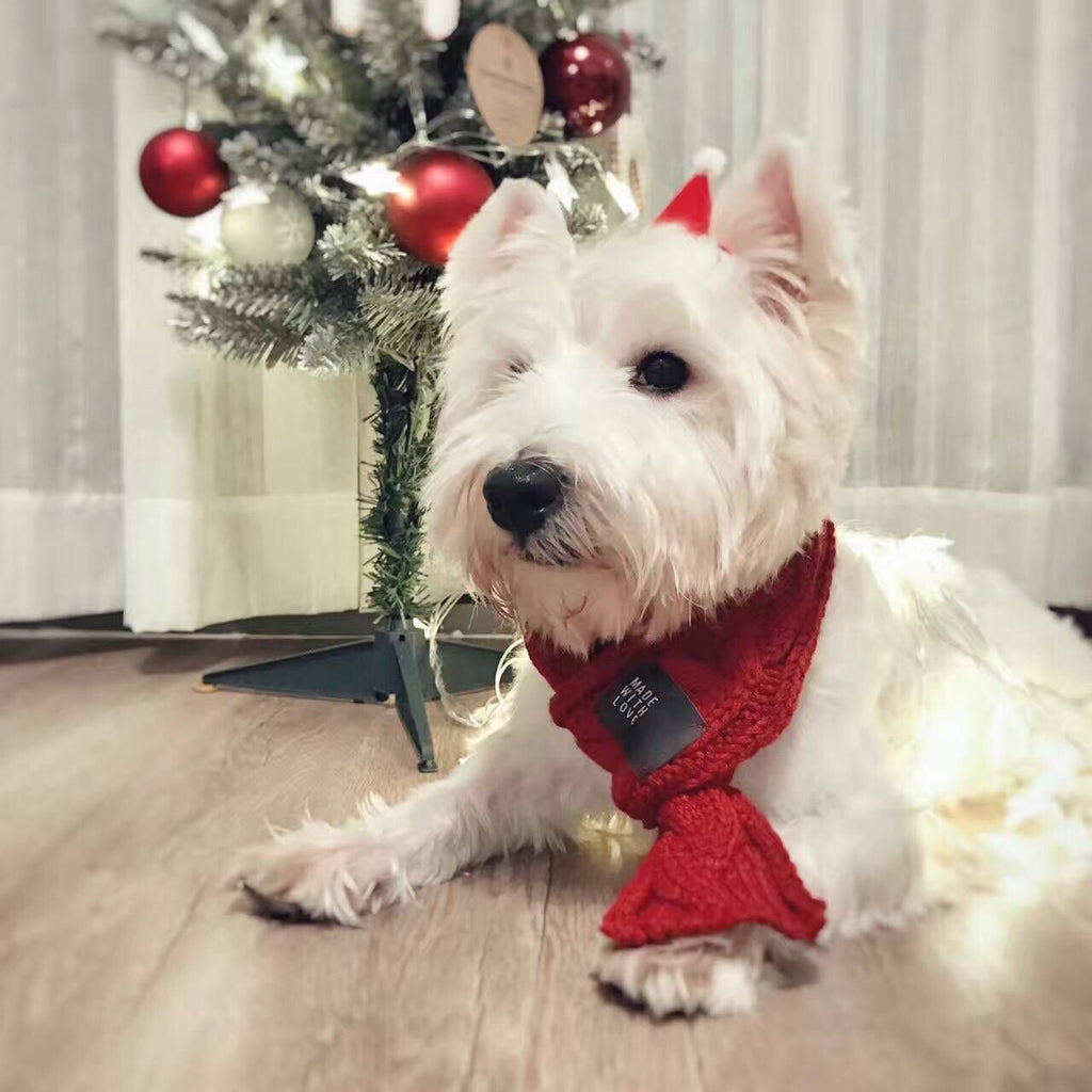 Cozy Knit Pet Scarf