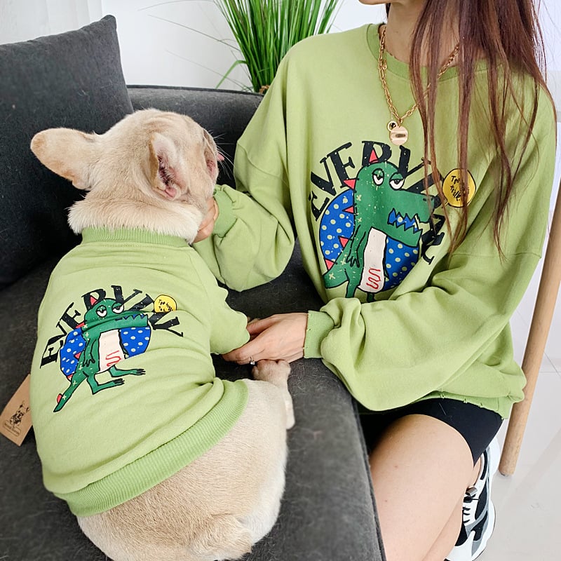Matching dinosaur sweaters for dog and owner, green