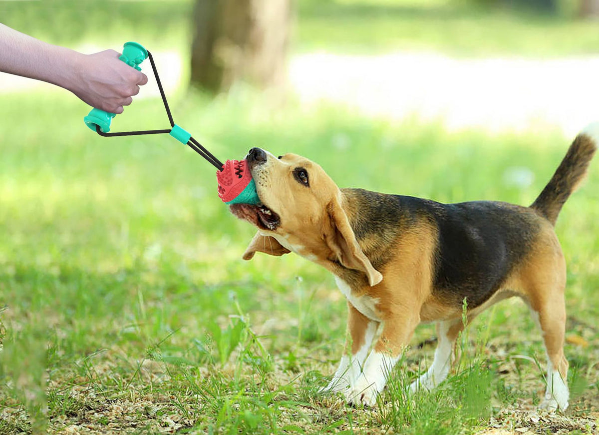 Tug Rope Ball Toy for Dogs