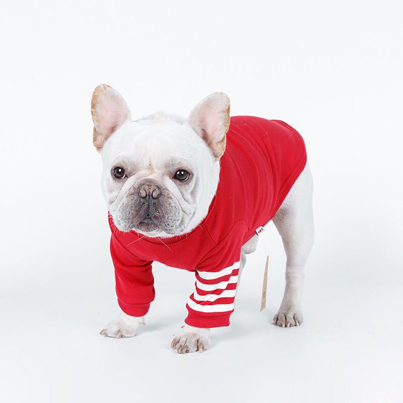 Cotton Hoodie for Small Dogs